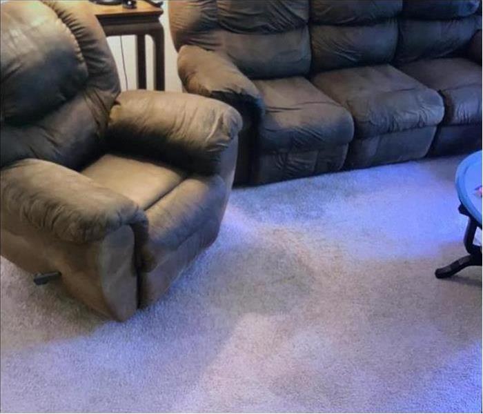 Cleaned carpet and furniture