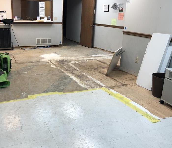 Exposed subfloor after commercial water loss